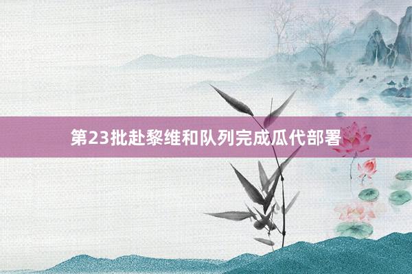 第23批赴黎维和队列完成瓜代部署